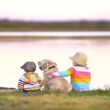 Appartamento Mantra-oase - Gemuetliches Mit Seeblick, Kamin & Wellness Am Krakower Krakow am See