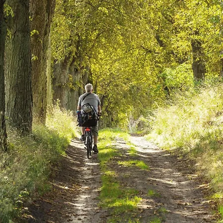 Mantra-oase - Gemuetliches Mit Seeblick, Kamin & Wellness Am Krakower Appartamento Krakow am See