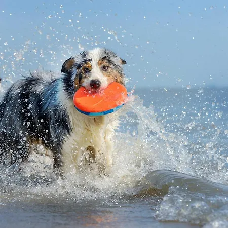 Mantra-oase - Gemuetliches Mit Seeblick, Kamin & Wellness Am Krakower *